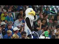 Welcome to the Nest FGCU