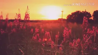 شيله مساء الخير دندنها