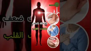   علامات تشير إلى ضعف عضلة القلب   اكتشفها الآن   القلب  امراض  صحه  وصفات         دندنها