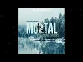 Download Lagu Axel Johansson - Mortal (Anıl Aykurt Remix) | #AxJoMortalRemix