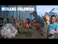 Lagu MUSANG SOLOMON..,,!! MASAK RICA-RICA CAMPUR BEER // HUJUNG TAHUN TIKET✈️ MAHAL
