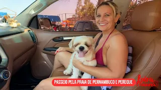 passeio pela praia do pernambuco e pereque 