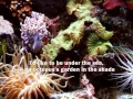 Download Lagu THE BEATLES -  Octopus's Garden (with lyrics)