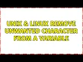 Unix Linux Remove unwanted character from a variable 2 Solutions