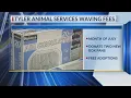 East Texans given rare oppurrtunity to get free pet this summer