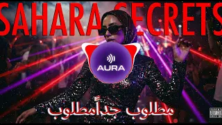                  ريمكس عربي مطلوب جدا                           دندنها