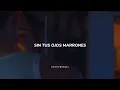 Lasso Ojos Marrones Sub Espanol