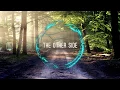 Download Lagu Elektronomia - The Other Side