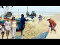 Download Lagu SIÊU BÃO RAGASA ĐAN VÀO BỜ BIỂN LONG HẢI ĐỘNG NGƯ DÂN BÁM BIỂN TRÚNG CÁ LẸP QUYẾT 