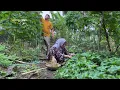 Download Lagu Aktivitas sore, masak tomat ijo pindang goreng santan pedas, makan malam bersama, masakan desa 
