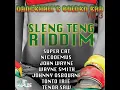Sleng Teng