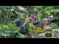 Download Lagu Panen pisang, petik sayur, masak untuk lauk yang enak, peyek kenikir, tumis kenikir terasi 