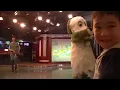 NHK スタジオパーク　いないいないばあっ！　ぐるぐるどっか~ん！