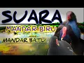 Download Lagu SUARA MANDAR BIRU dan MANDAR BATU // master pikat untuk nyanggong.