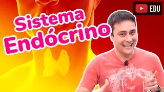 Sistema Endócrino - Hormônios - Prof. Paulo Jubilut