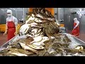 Download Lagu 이게 K-FOOD 공장! 광어 한마리 해체 단 15초,연간 1000톤 광어 필렛 대량생산 / Korean food factory
