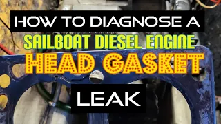 How to diagnose a head gasket leak SVEV episode 31