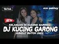 Download Lagu Dj Kucing Garong x Pantek x Burung Puyuh Viral Jedag Jedug Tiktok Terbaru Full Bass 2022 Remix