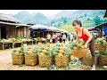 Use 3-wheeled Vehicle Harvesting Lots Of Pineapple Goes To Countryside Market Sell - Farm Life