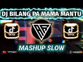 DJ BILANG PA MAMA MANTU X LELOLAY X PAK CEPAK CEPAK JEDER