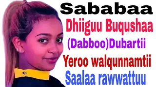 Sababaa Dhiiguu Buqushaa Qaamaa Saalaa Dubartii Yeroo Walqunnamtii Saalaa Rawwattuu 