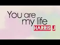 Download Lagu Harris J - You Are My Life |