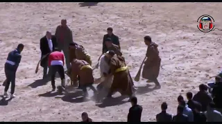 جديد اغنية شاوية امازيغية امناي الشاوي  بد اوما ارار نيغ اج يوذان اذيرارن      دندنها