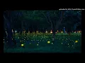 Lagu Owl City - Fireflies HQ Audio + CC Lyric