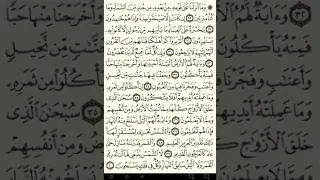 ماهر المعيقلي سورة يس مكتوبة صفحة 442 مصحف المدينة المنورة جودة عالية 