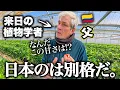 Download Lagu 植物博士のパパが初めて食べる日本のイチゴに言葉を失う【来日】