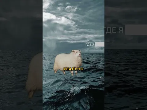 Никто не знал об этом!