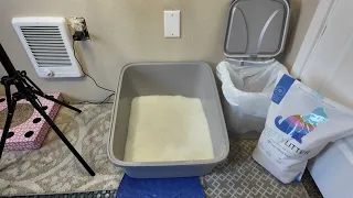 PrettyLitter Review - Is This Cat Litter REALLY Worth It