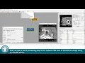 MeVisLab Tutorials - Basic Mechanics