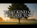 Download Lagu Sunday AM, Sep 21 | Pst. Derrick Clauschee | The Potter's House