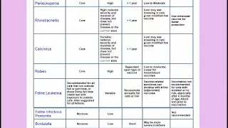 Vaccines Vaccination Schedule for Cats Kittens