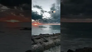 انا يولاد الخاينه اسد لسه بصحتي مبموتش   دندنها