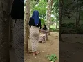 Download Lagu gadis Desa JAMPANG TURUNAN KIDUL berdebat sebelum ngonten