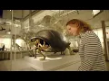 Natural Sciences Biological Sciences