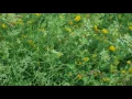 The Hardkiss - Антарктида / Віталізація 3 / На Волині.