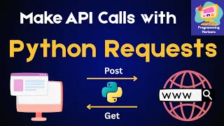 Python Requests API Tutorial for Beginners