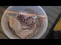Big Apple pet supply unboxing