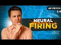 Action Potential In The Neuron AP Psychology Unit 2 Topic 4