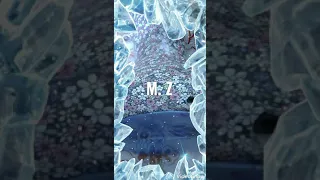 اغاني من تراثنا قالتلو طلڨها  اغاني من تراثنا قالتلو طلڨها