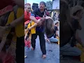Download Lagu TERHENTAK, penyembuhan kesurupan kuda lumping jaranan reog tnb talun bandungan