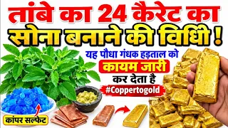 तांबे का 24 कैरेट का सोना बनाने की विधी !यह पौधा गंधक हड़ताल को कायम जारी कर देता है#Coppertogold