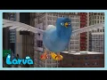 Download Lagu LARVA Ataque de aves | LARVA | Wildbrain Niños