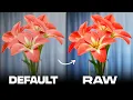 The Secret to Rendering Vibrant Colors with AgX in Blender is the Raw Workflow