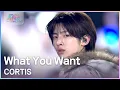 What You Want - CORTIS [2025 뮤직뱅크 글로벌페스티벌 IN JAPAN] | KBS 251230 방송
