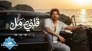                    نبيل   قلبي مل دندنها
