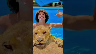 القيصر رقم واحد في مجال تيك توك و عمر شاور رقم واحد في مجال اليوتيوب في مصر اي عنوان Shorts القيصر 